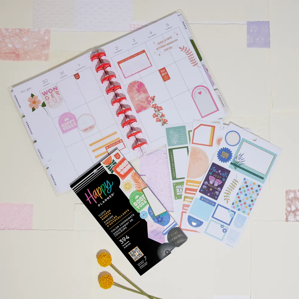 Me & my big ideas Color Coordinate stickers agenda 394