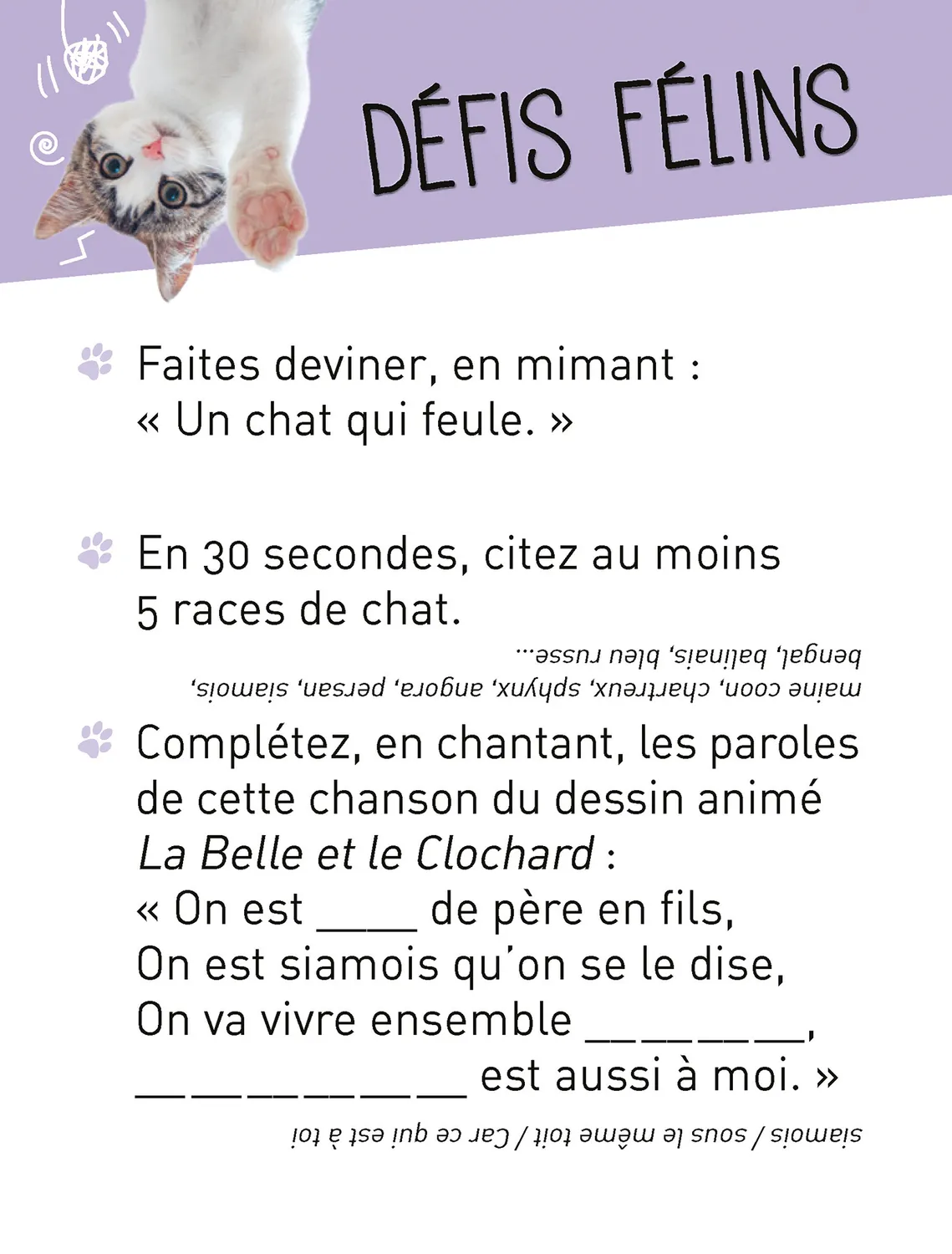 Frigobloc Donne ta langue au Chat boîte quiz 350 questions