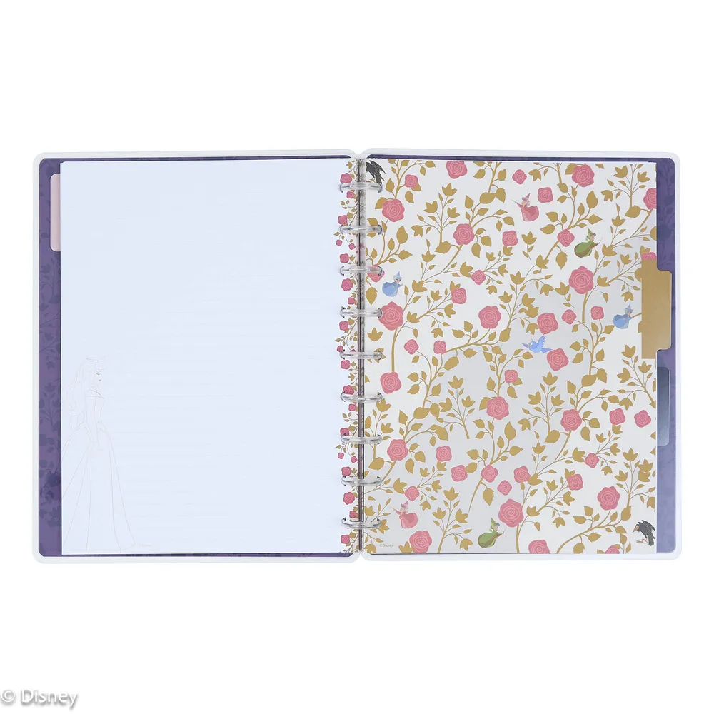Happy Planner Disney Aurore carnet ligné pointillé classic