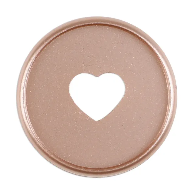 Happy Planner disques Medium rose gold anneaux x9