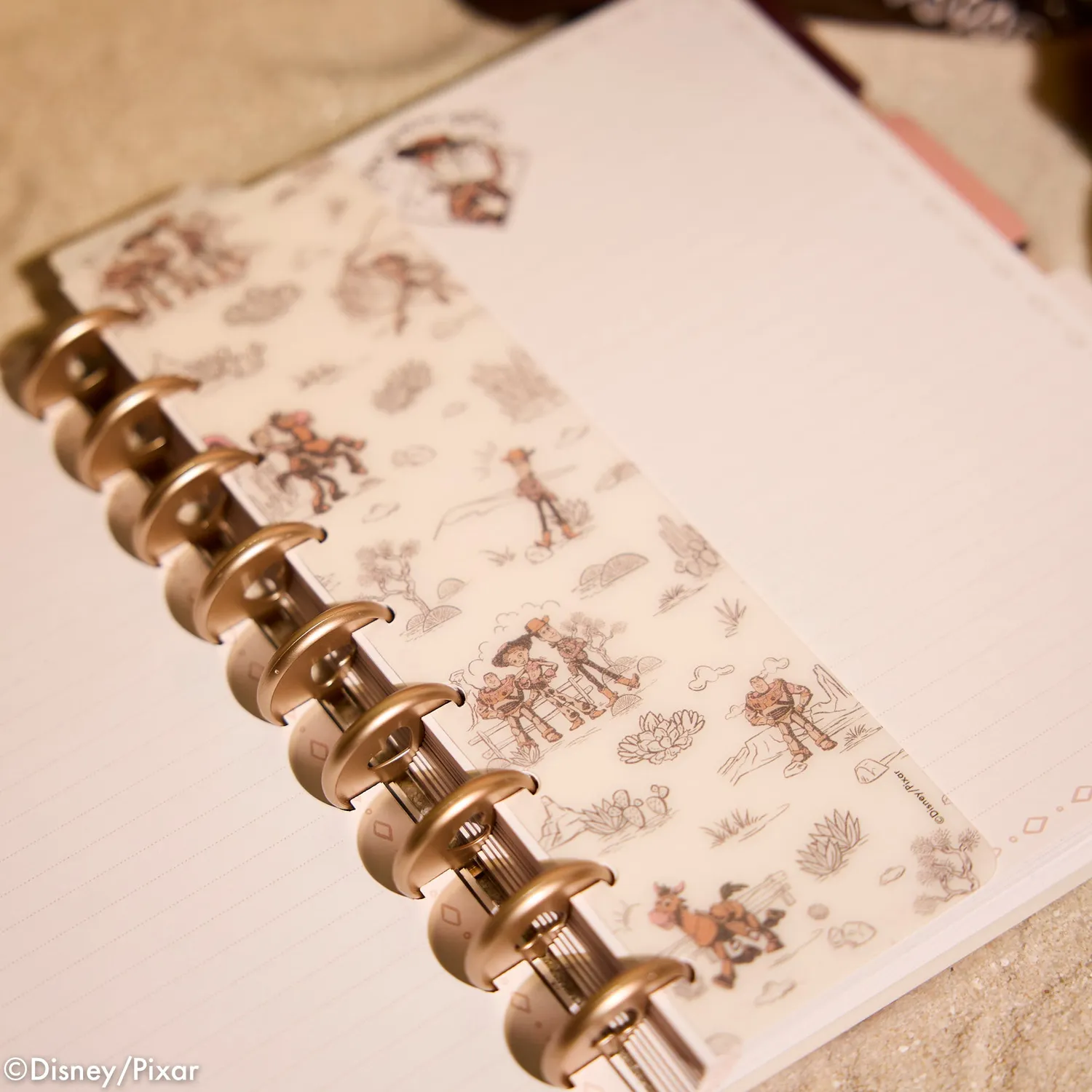 Happy Planner Toy Story Desert Rodeo pack accessoires Classic