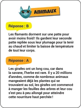 Incollables Pourquoi boîte quiz 360 questions famille
