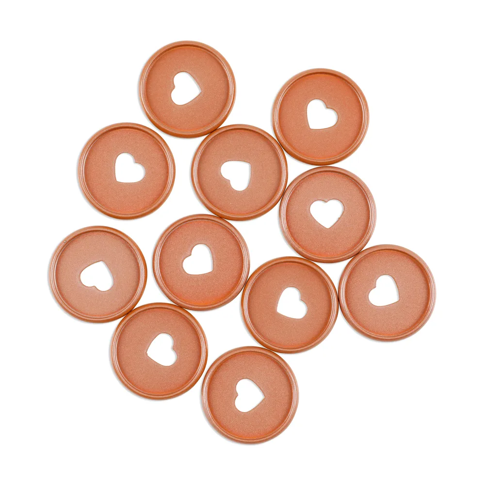 Happy Planner Chai Spice disques métal medium 11 pièces