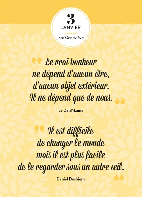 Frigobloc Esprit zen en 365 jours calendrier éphéméride bien-être