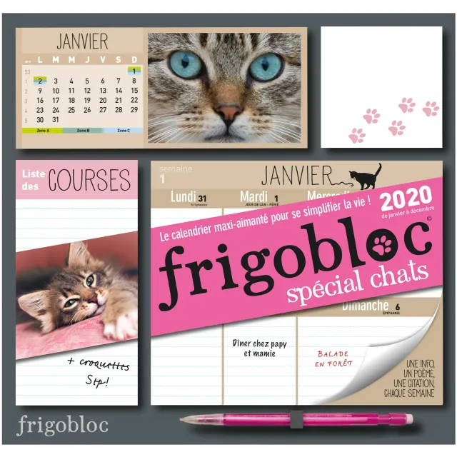 Frigobloc Chats 2020 calendrier familial aimanté mois semaine