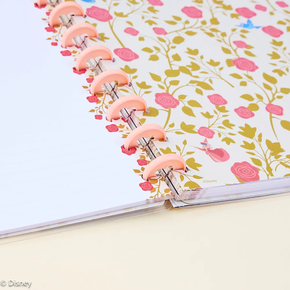 Happy Planner Disney Sleeping Beauty carnet pointillé Big 60 feuilles