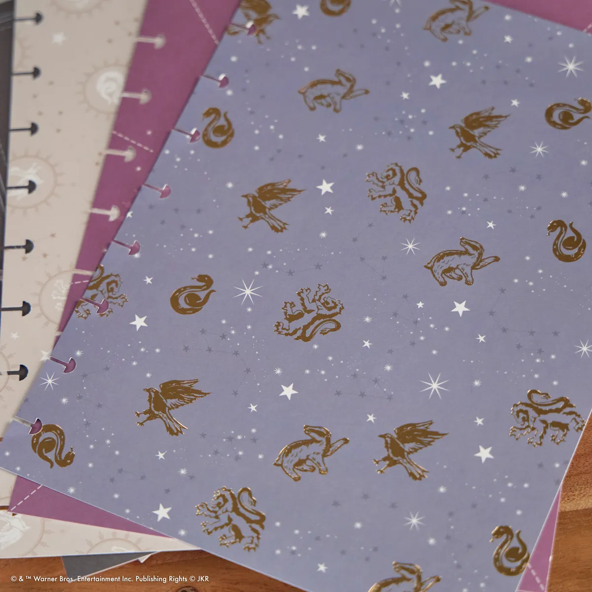 Me & my big ideas Happy Planner Harry Potter extension 4 mois Classic