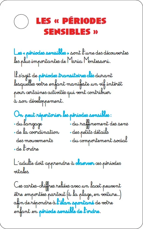 Les Incollables Eventail Montessori chiffres rugueux cartes