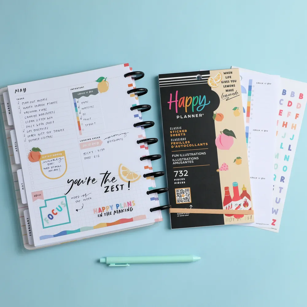 Happy Planner Fun Illustrations stickers Value Pack 30 feuilles 732