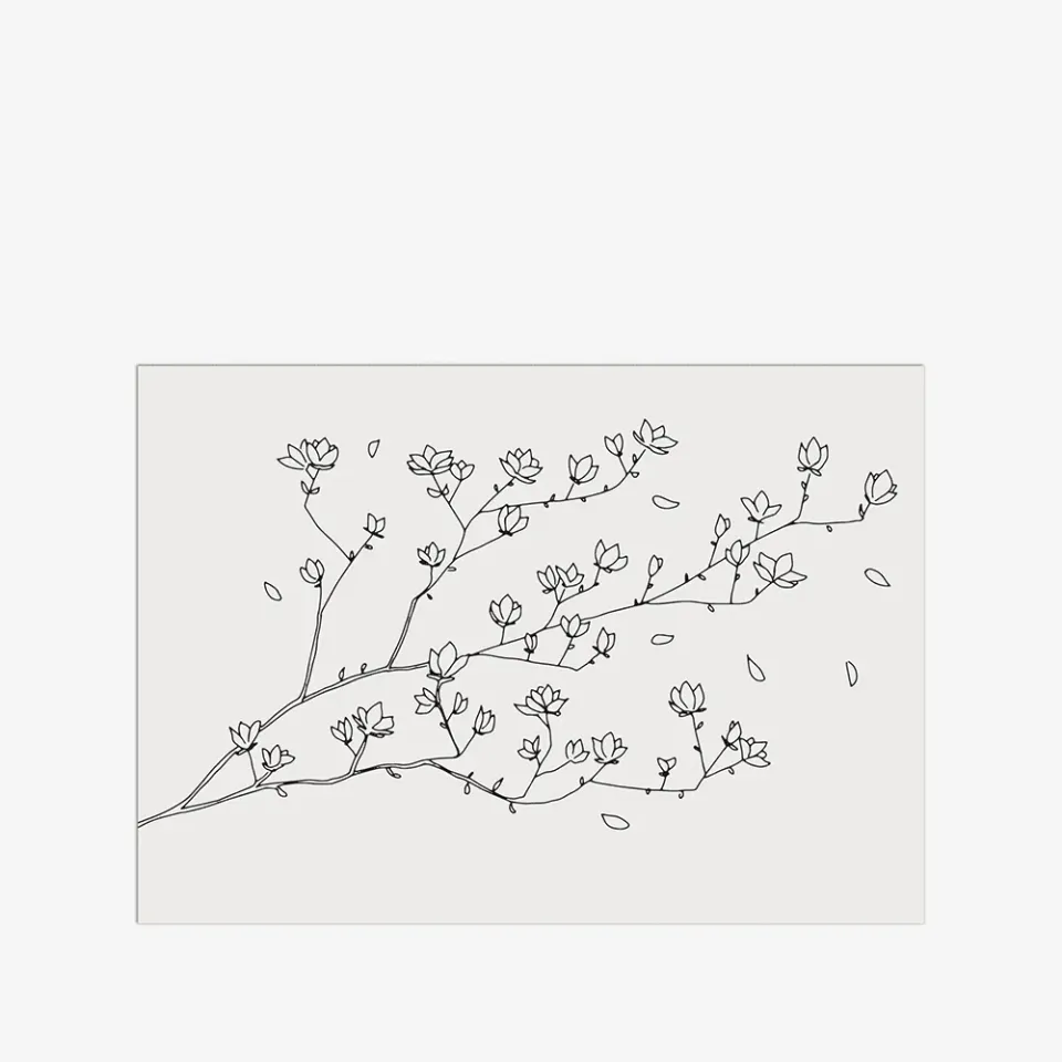 My365 Elizabeth Moraes Sakura carte postale fleurs