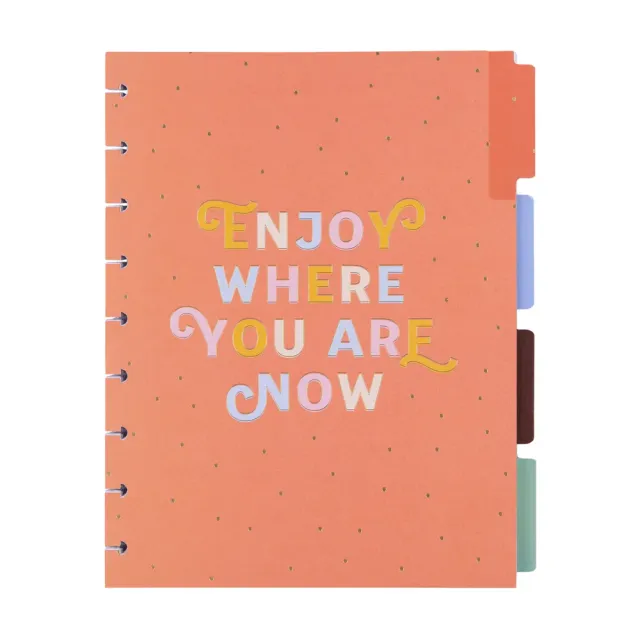 Happy Planner Boardwalk Ice Cream extension journalière 4 mois