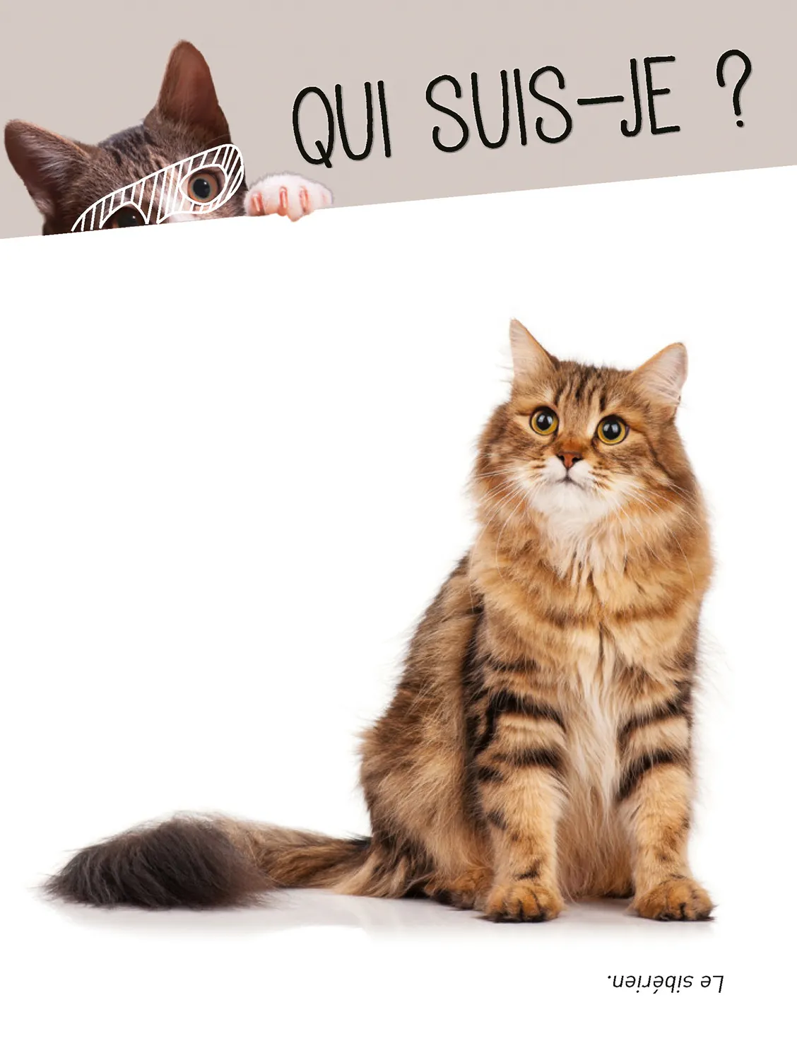 Frigobloc Donne ta langue au Chat boîte quiz 350 questions
