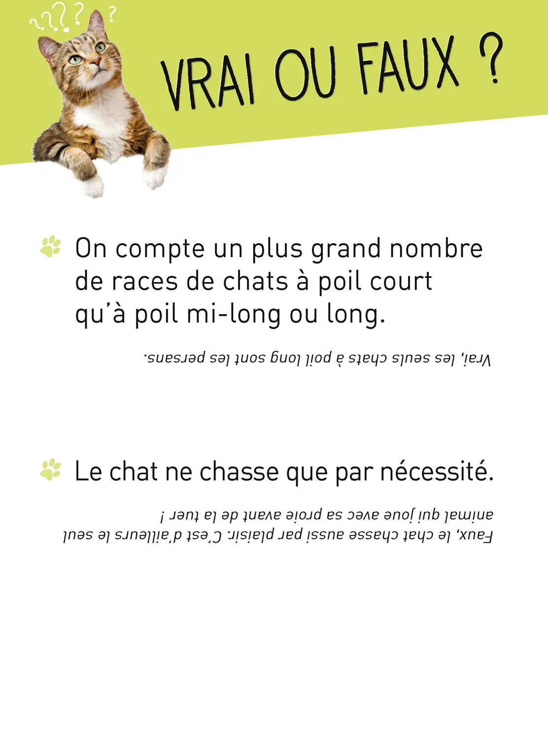 Frigobloc Donne ta langue au Chat boîte quiz 350 questions
