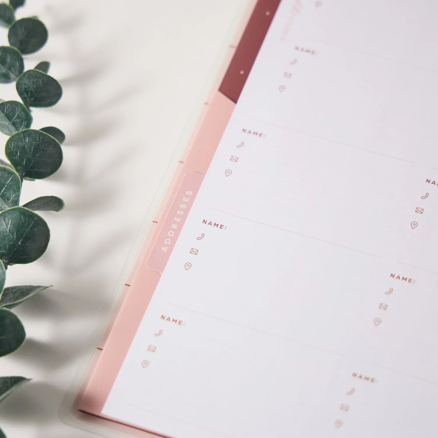Happy Planner Rise & Align Addresses recharge adresses Classic
