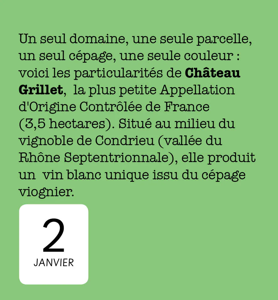 Frigobloc 365 jours amateur de vin mini calendrier cépages