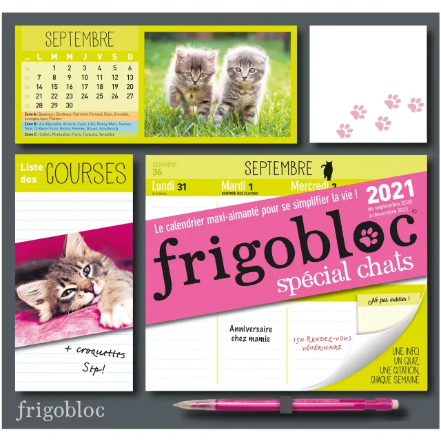Frigobloc Chats 2021 calendrier familial aimanté 16 mois