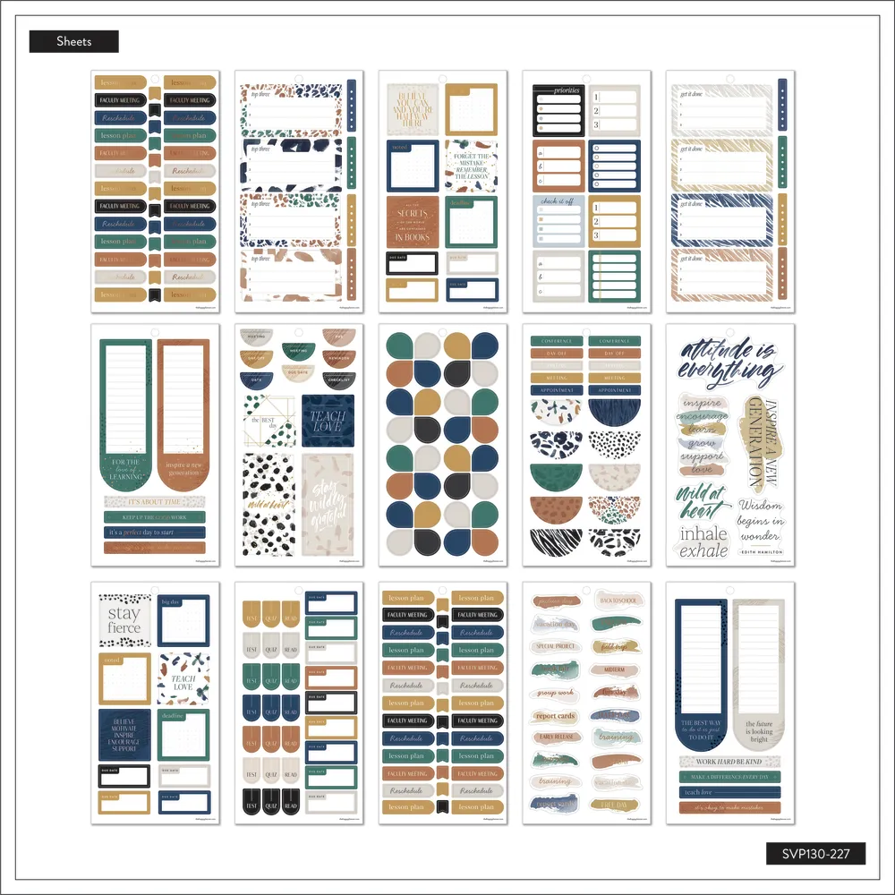 Happy Planner Gone Wild Teacher stickers Big 620