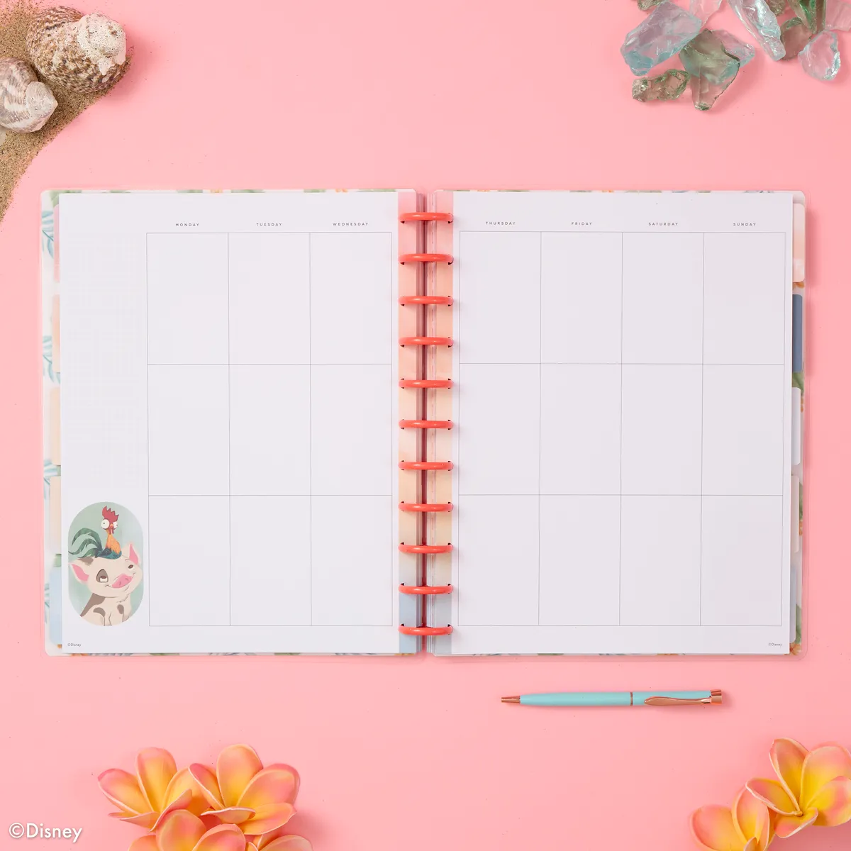 Happy Planner Disney Moana agenda non daté big vertical 12 mois