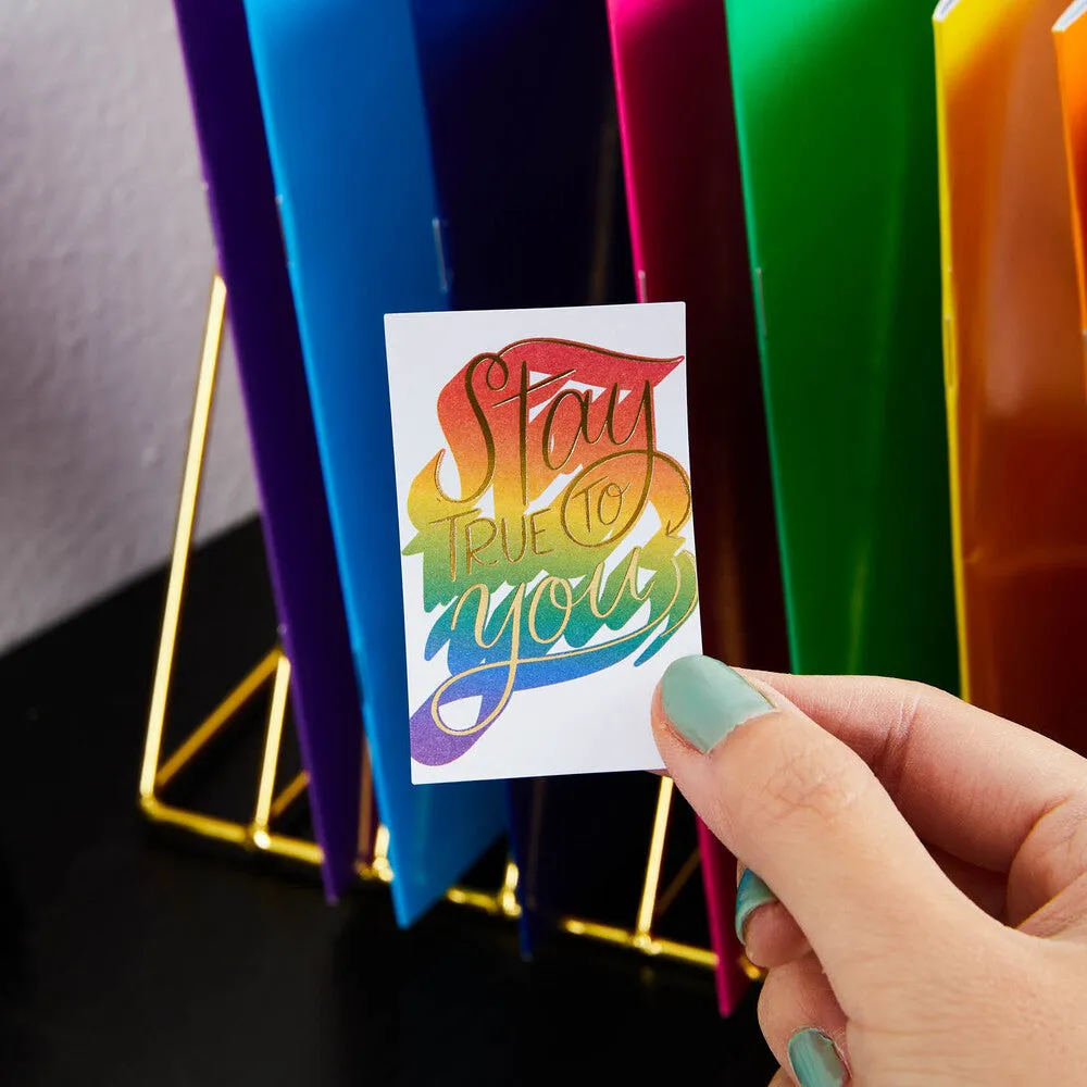 Happy Planner Pride stickers value pack 1094
