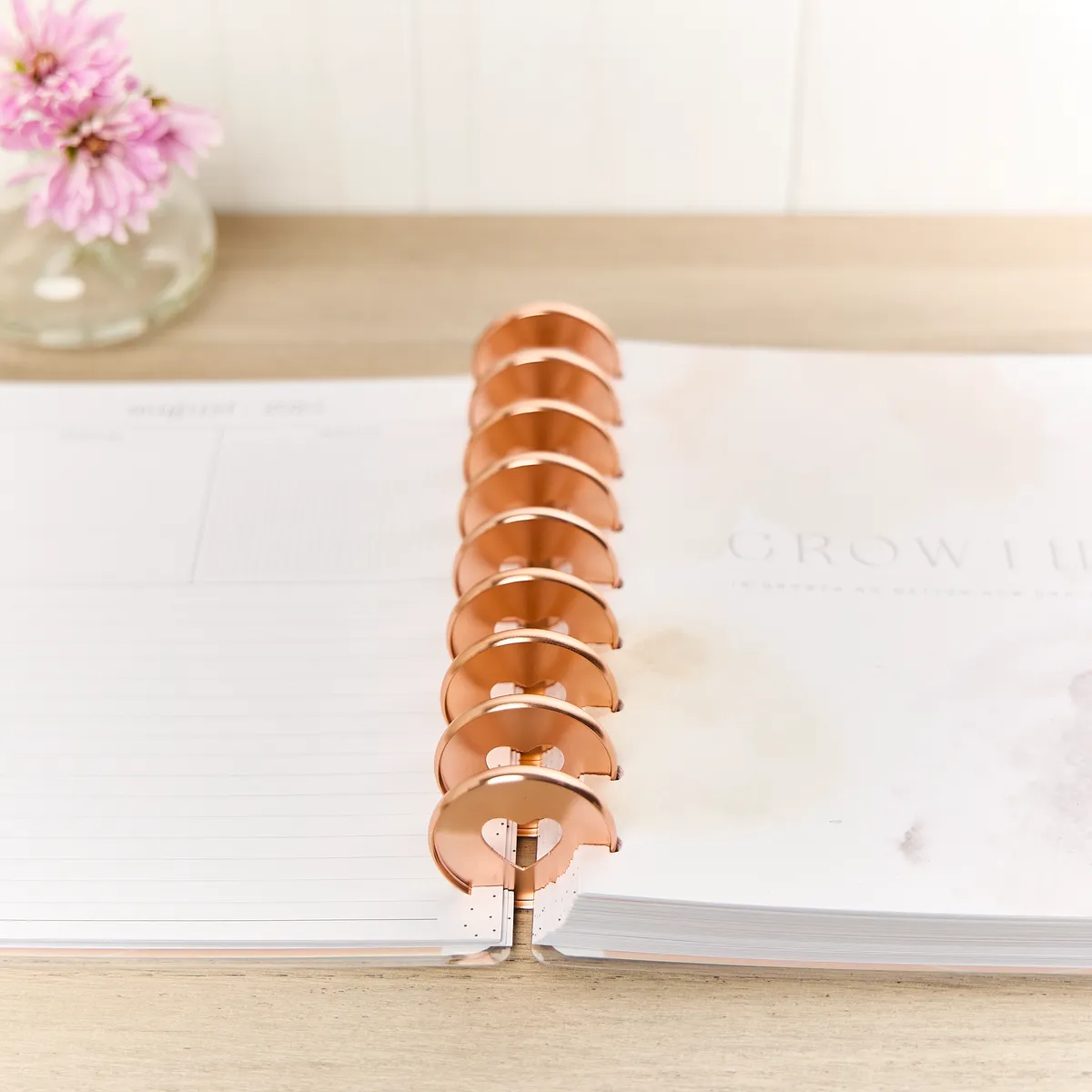 Happy Planner Rose Gold disques métal expander x11