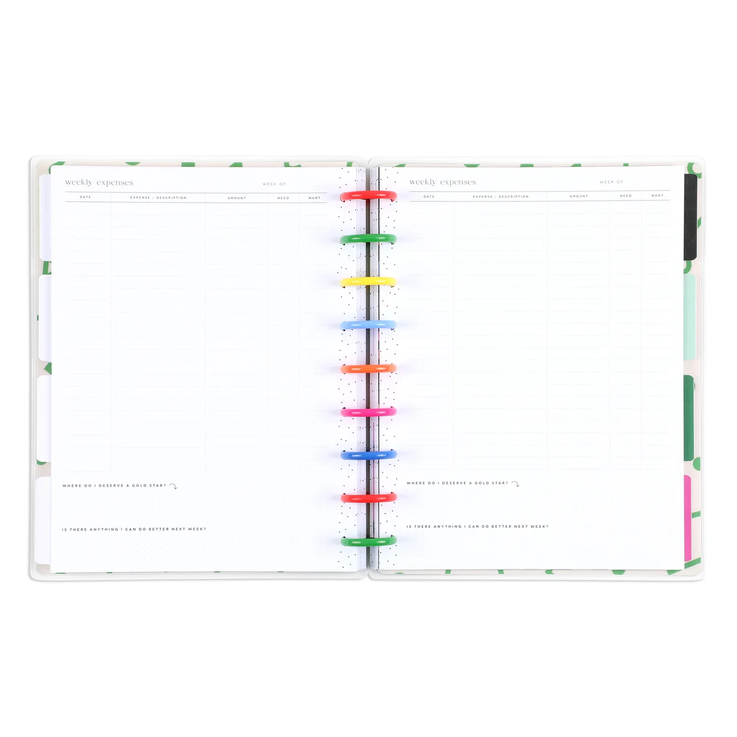 Happy Planner Big Dollar Energy agenda budget Classic non daté