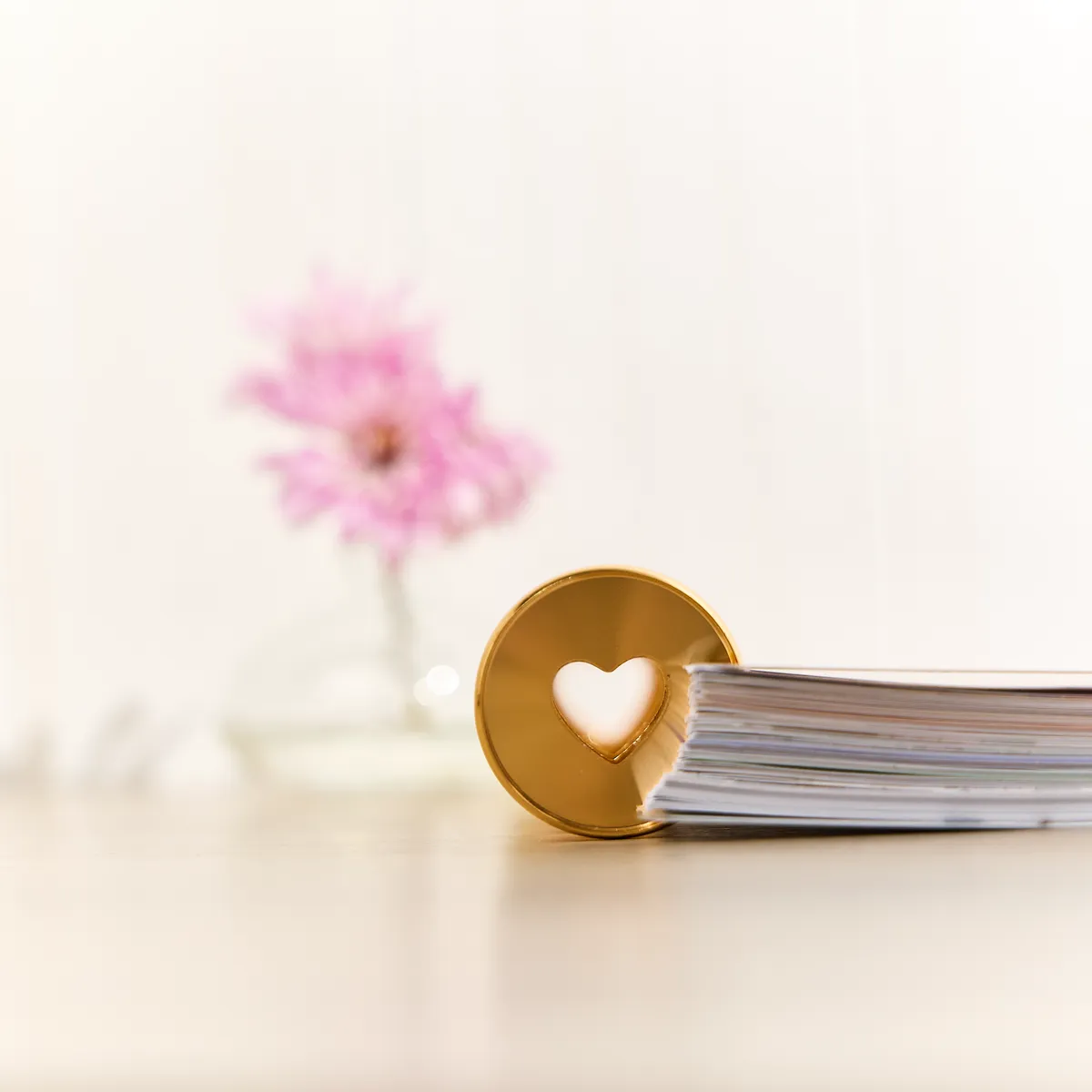 Happy Planner Gold Expander disques métal x11 doré