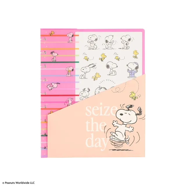Happy Planner Peanuts Classic pack accessoires Snoopy