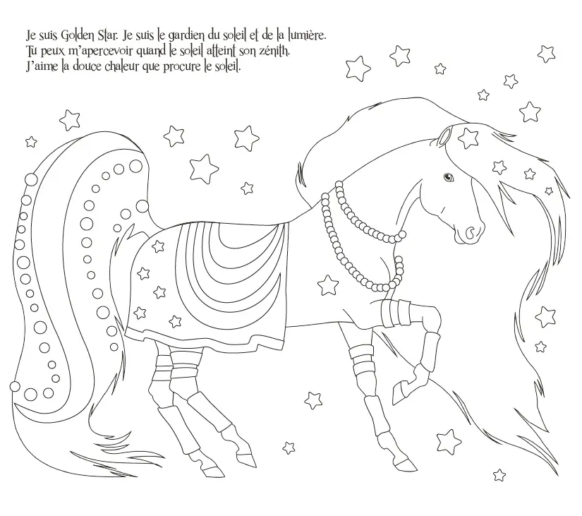 Frigobloc Ma pochette Chevaux carte à pailleter 5 cartes