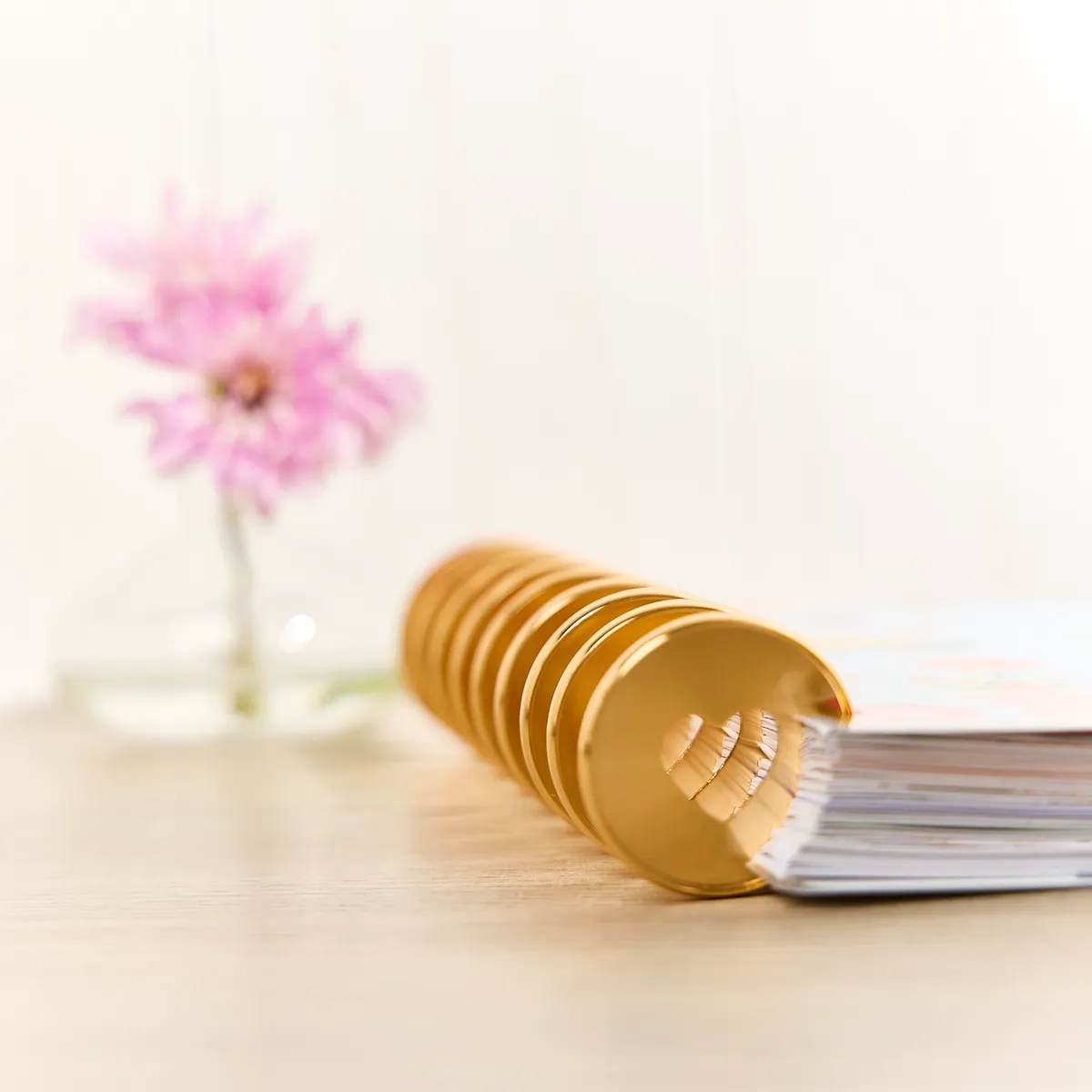 Happy Planner Gold Expander disques métal x11 doré