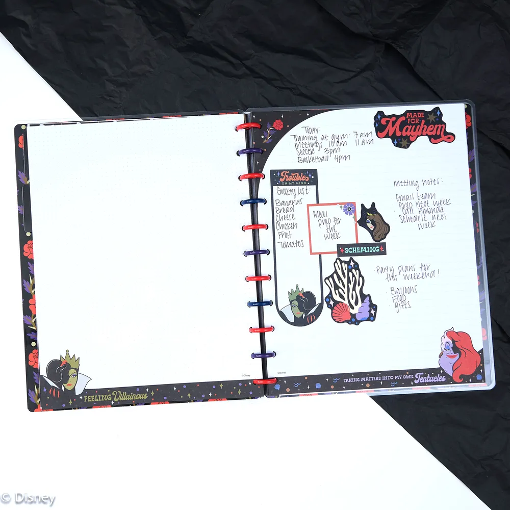 Happy Planner Disney Good vs Evil recharge papier Big 40 feuilles pointillé