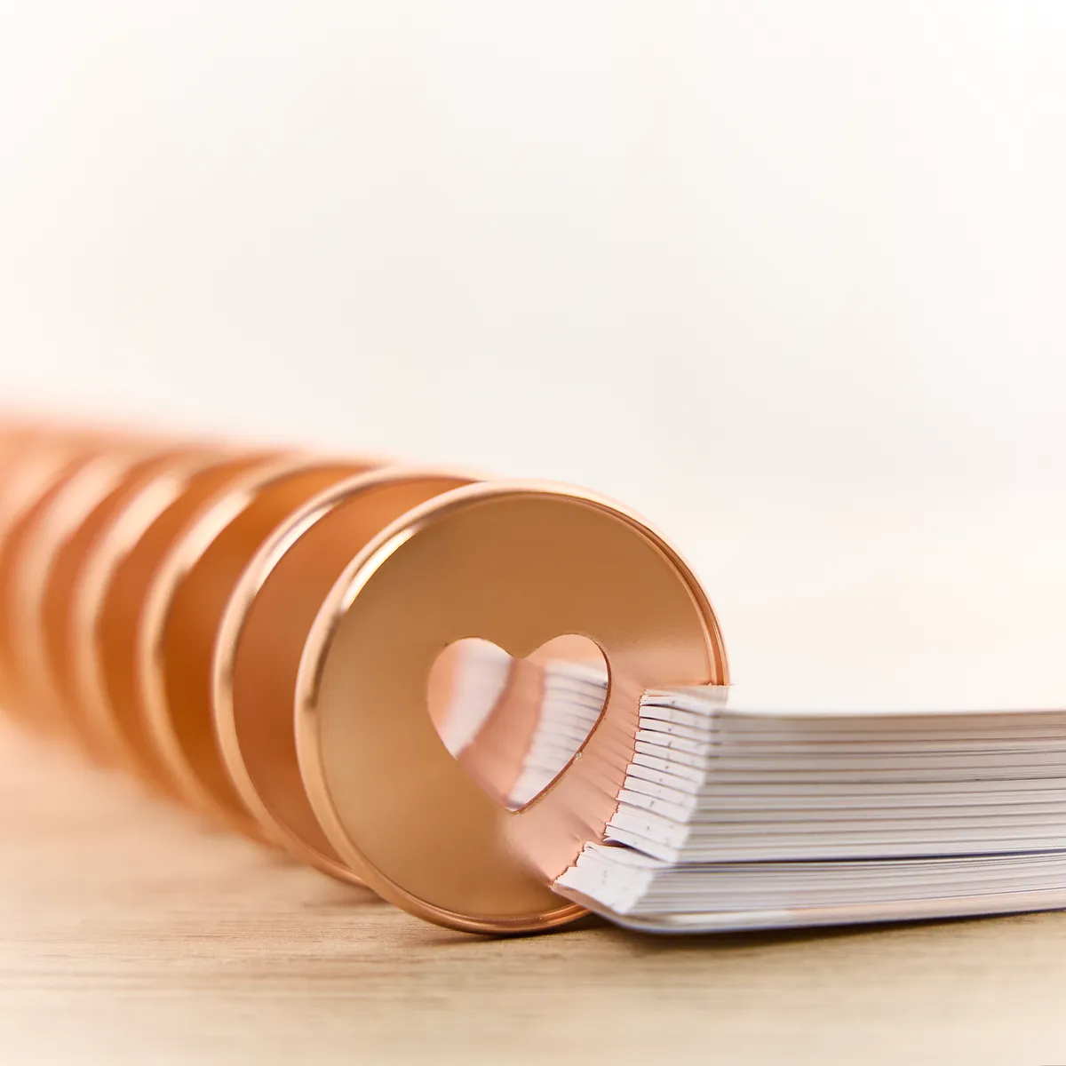 Happy Planner Rose Gold disques métal expander x11