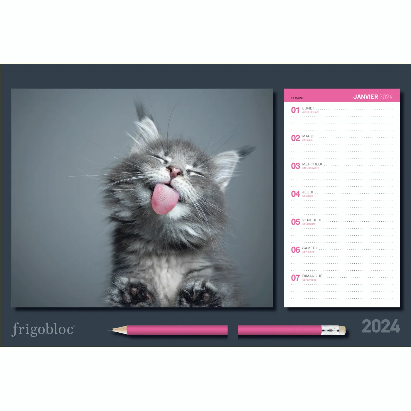 Frigobloc Chats rigolos calendrier familial 2024 photos