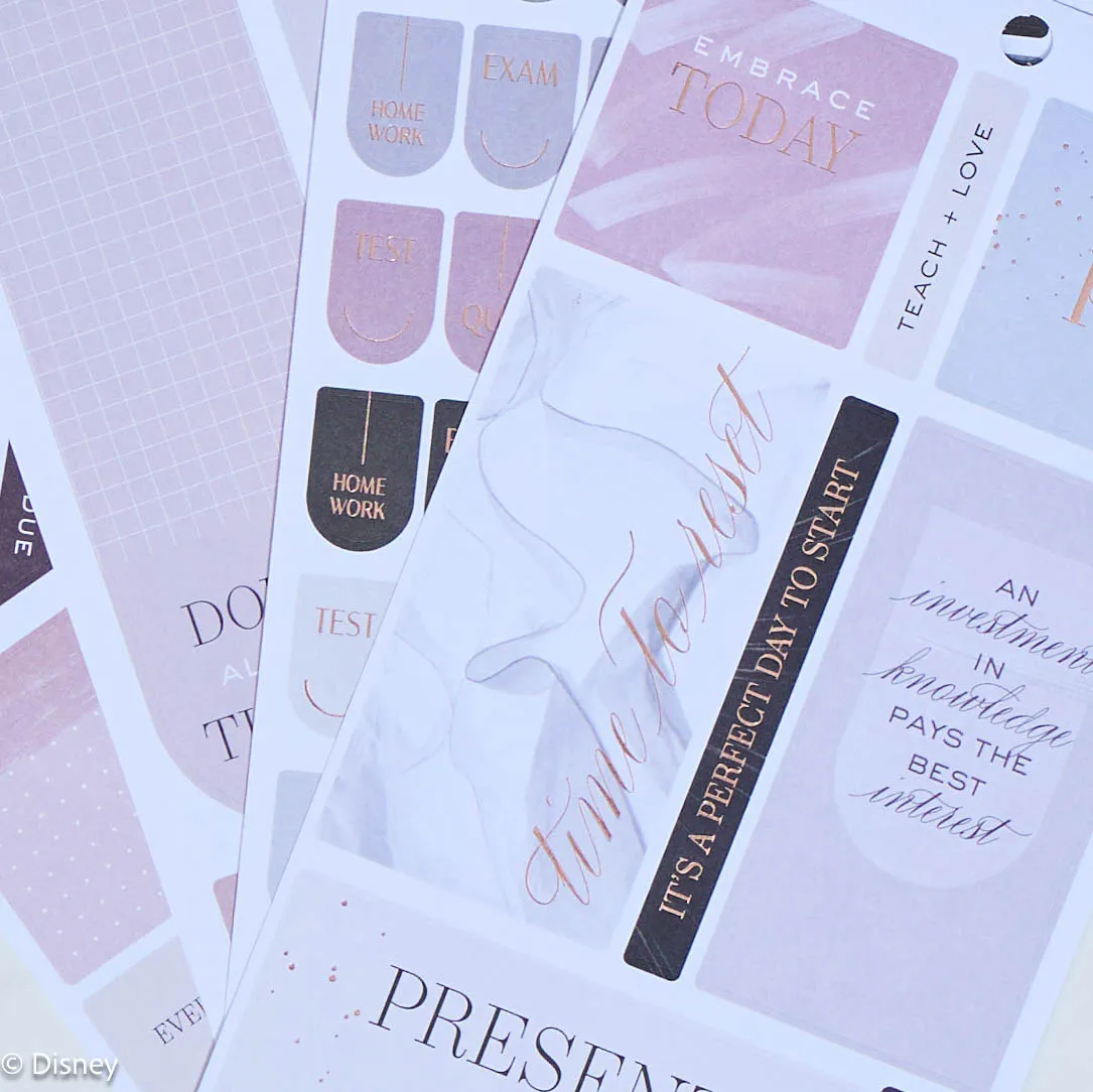 Happy Planner Aesthetique Teacher stickers Big 617 prof