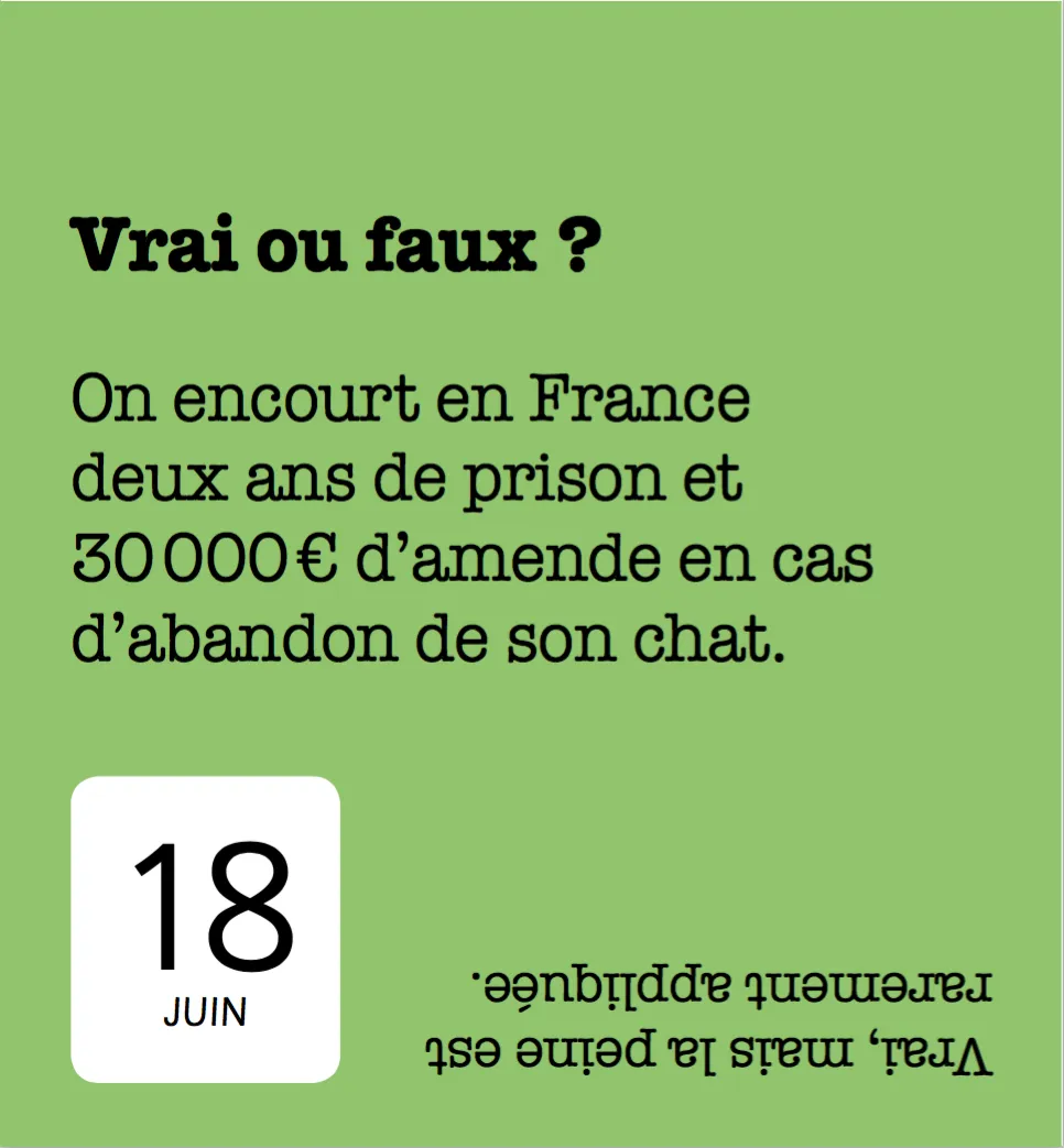 Frigobloc 365 jours avec les chats mini calendrier annuel