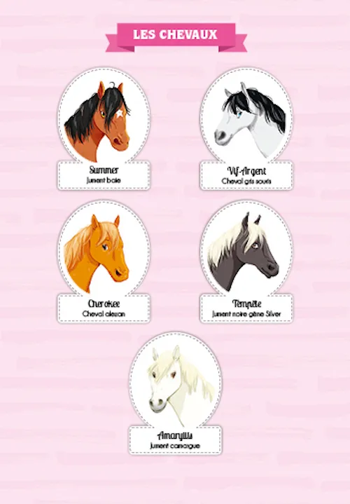 Le Galop des Étoiles S.O.S en randonnée Tome 9 roman dès 8 ans