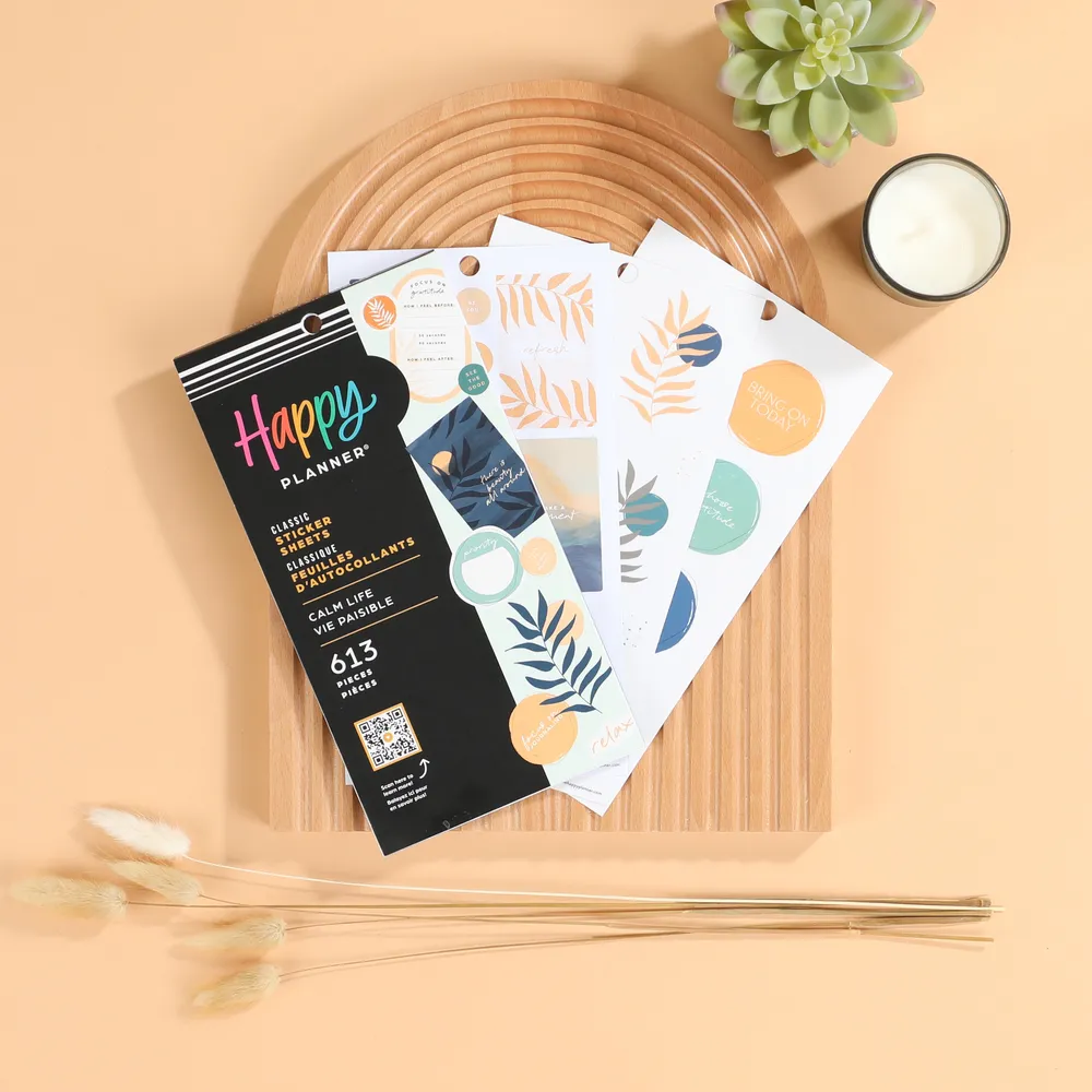 Me & my big ideas Happy Planner Calm Life stickers value pack 613