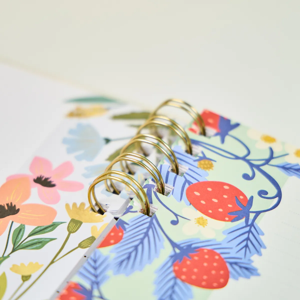 Happy Planner Teaching Seasons recharge spirale Big 40 feuilles