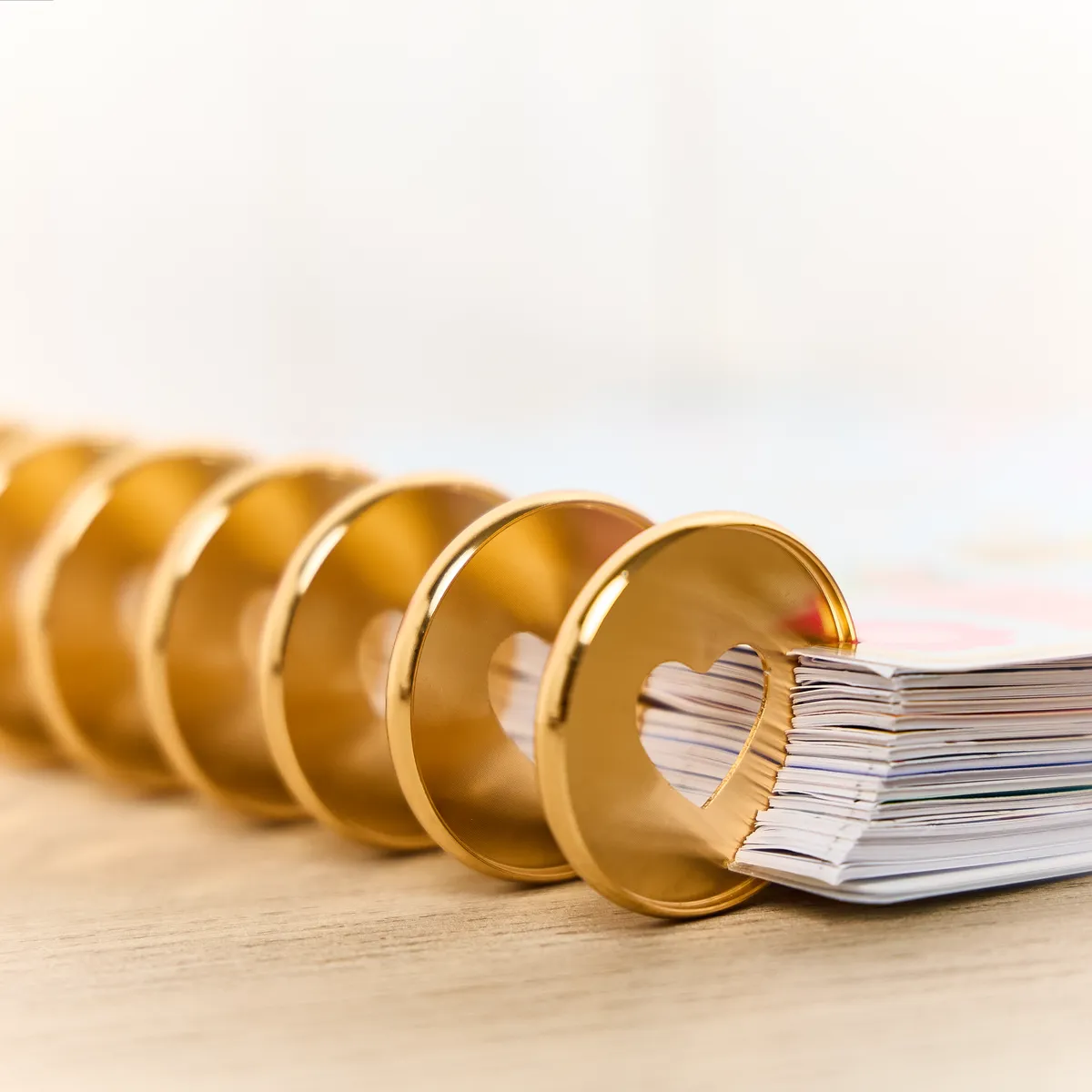 Happy Planner Gold Expander disques métal x11 doré