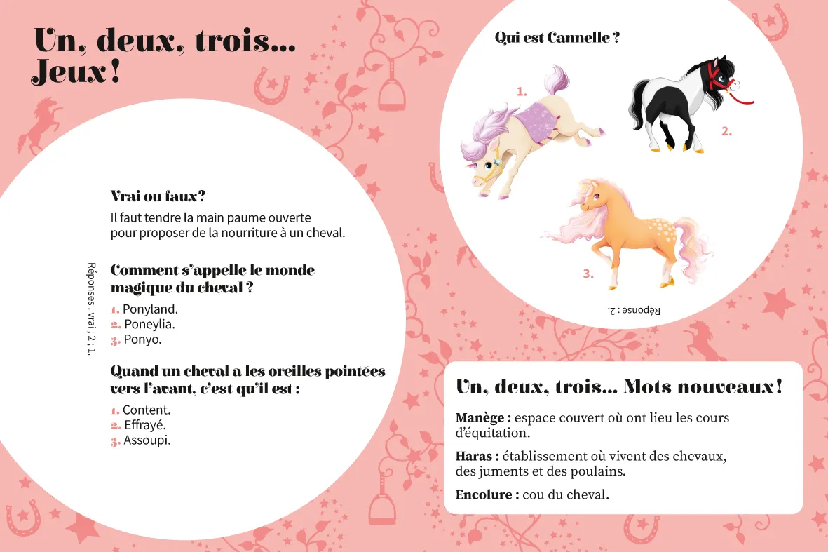 Frigobloc Une deux trois Cavalières Tome 1 roman poney dès 6 ans