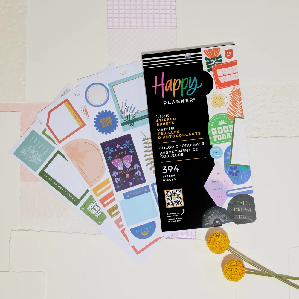 Me & my big ideas Color Coordinate stickers agenda 394