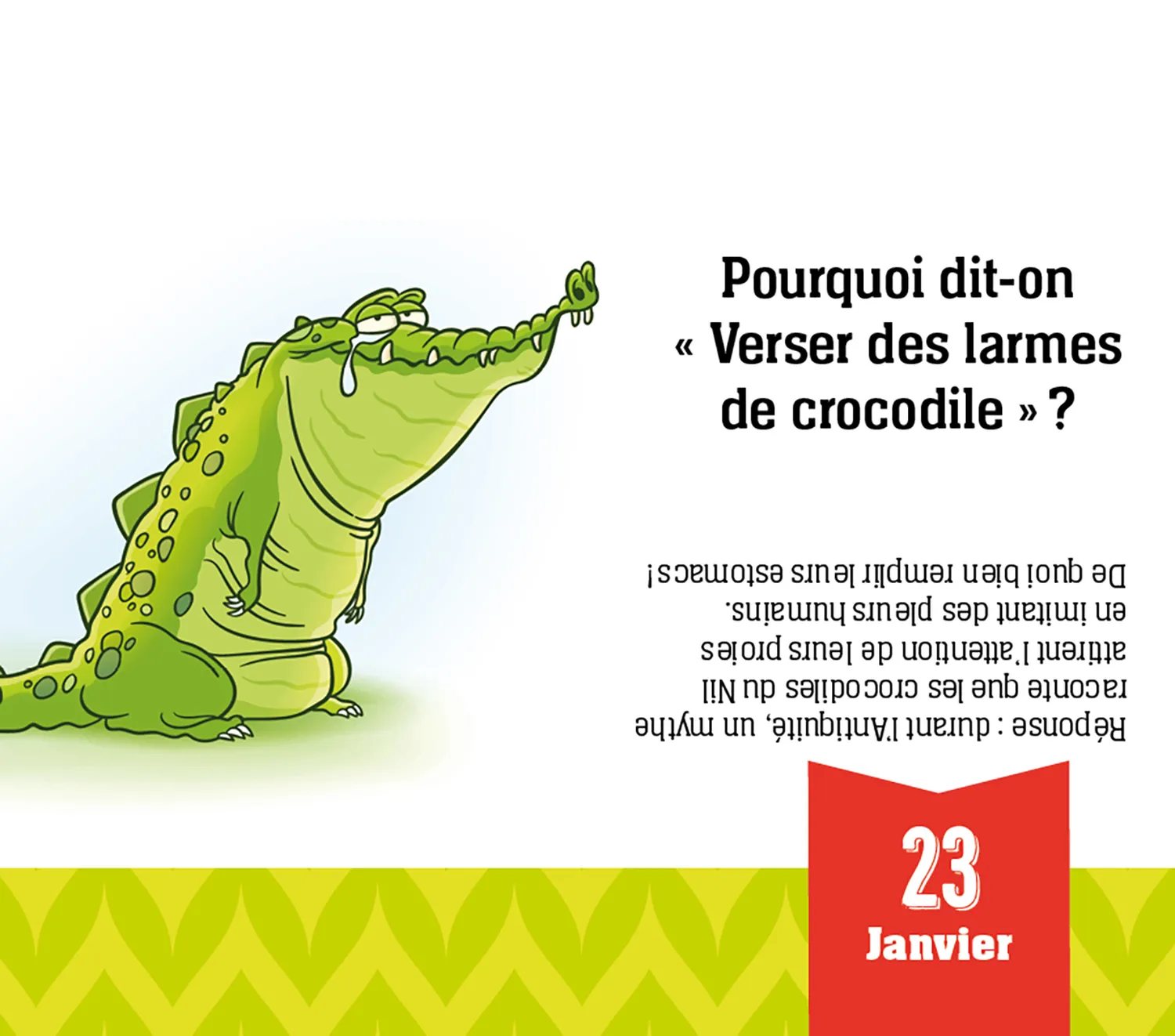 Frigobloc Pourquoi dit-on ? calendrier quiz chevalet 365 jours
