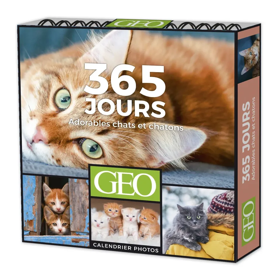 Géo 365 Jours Adorables calendrier chevalet chats et chatons