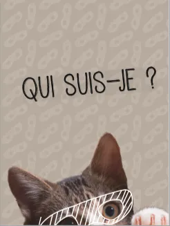 Quiz Chat boîte jeu 350 questions et défis