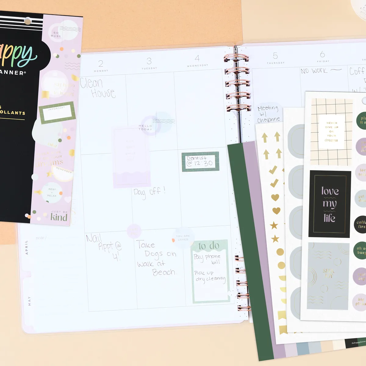 Happy Planner Value Pack Mauve & Moss stickers 799 motifs foil