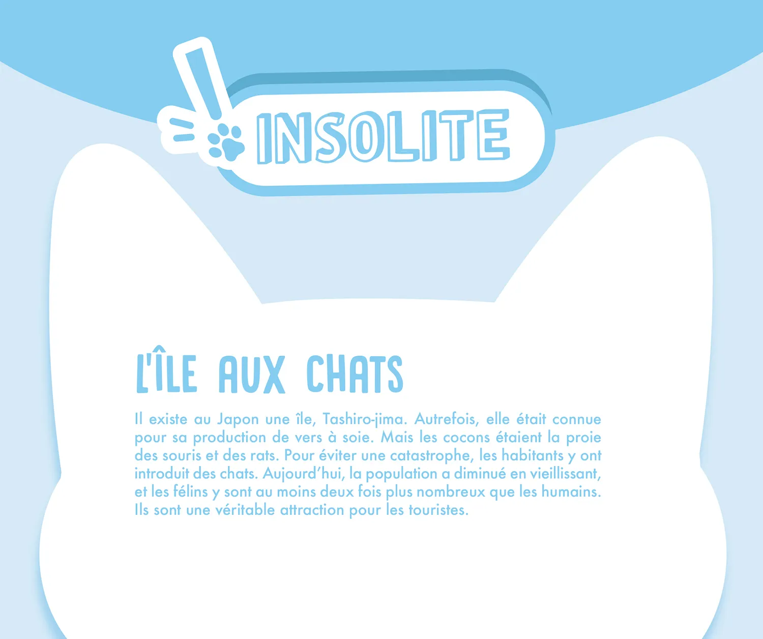Frigobloc Hebdomadaire Chat 2027 calendrier familial 16 mois