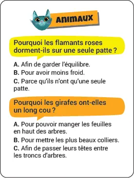 Incollables Pourquoi boîte quiz 360 questions famille