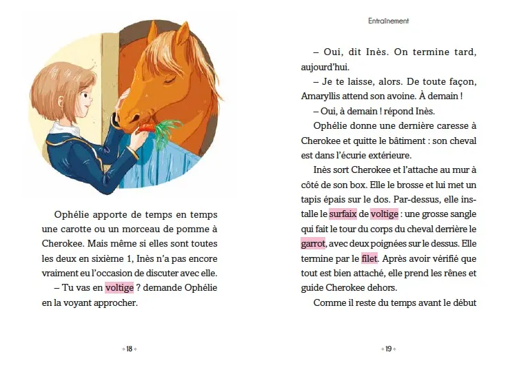 Frigobloc Le Galop des Etoiles Tome 2 Cherokee roman cheval 8 ans