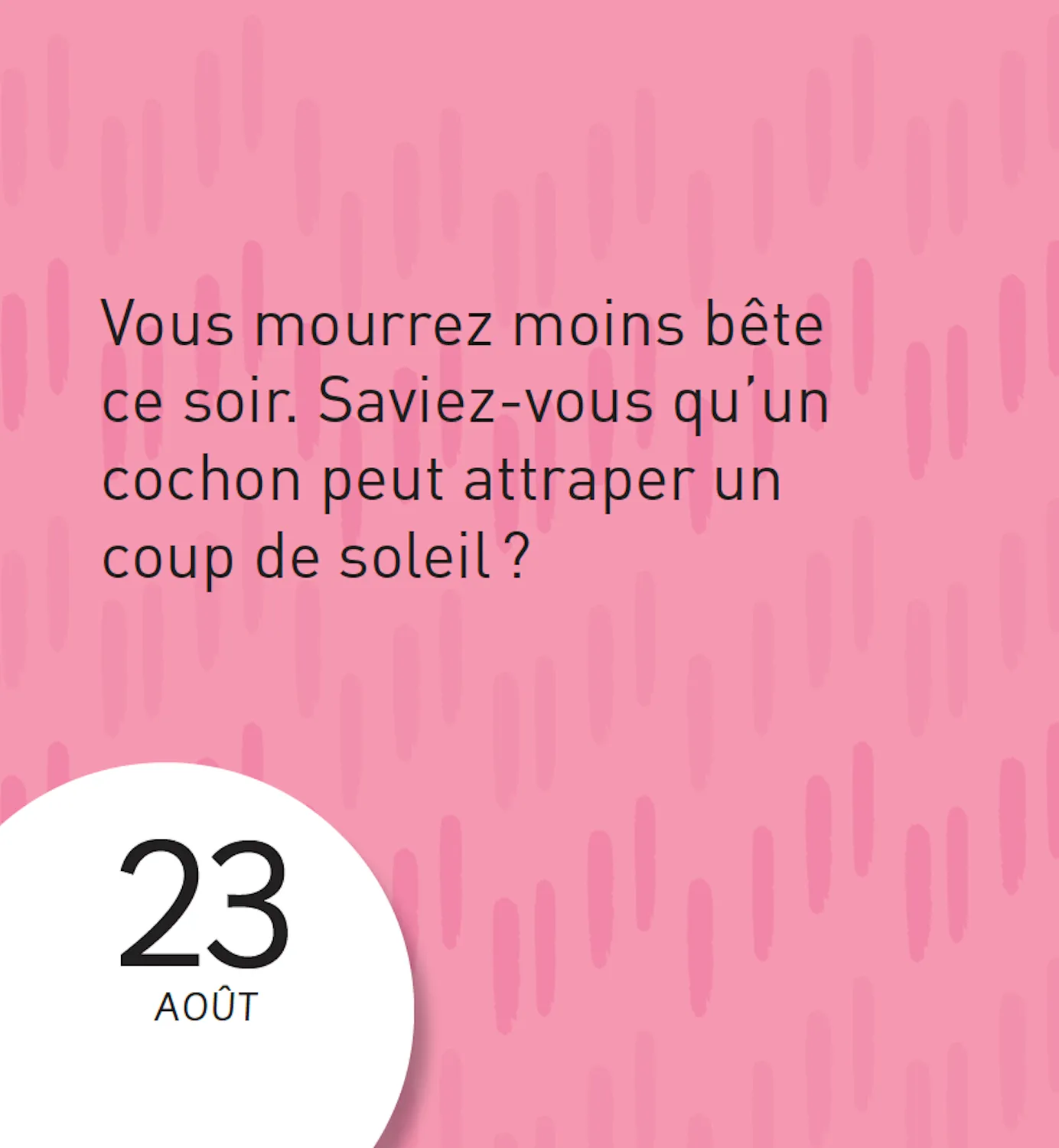 365 Trucs Inutiles à Savoir mini calendrier 365 infos