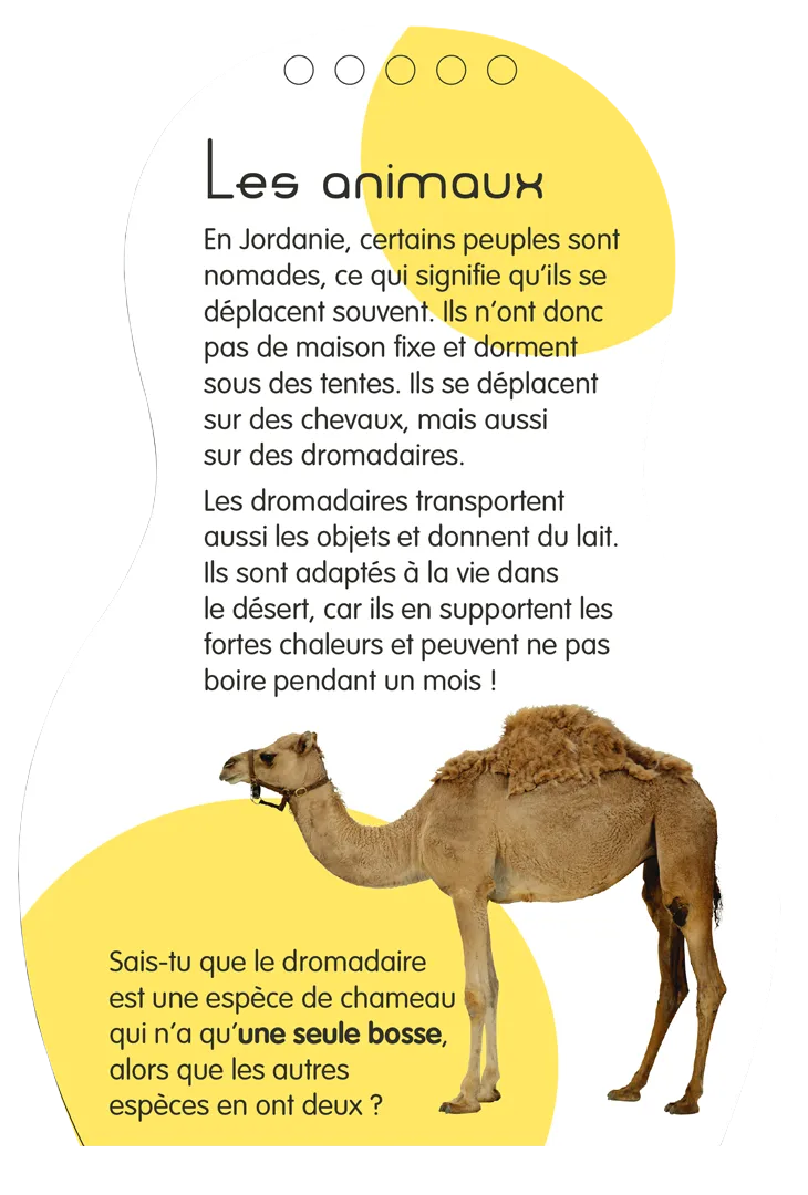 Frigobloc Minimiki Zeina en Jordanie carnet créatif stickers