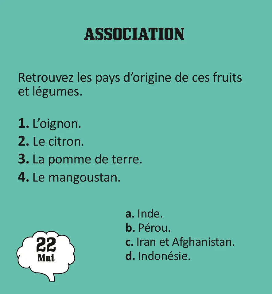 Frigobloc Mini calendrier 365 jours muscler cerveau énigmes
